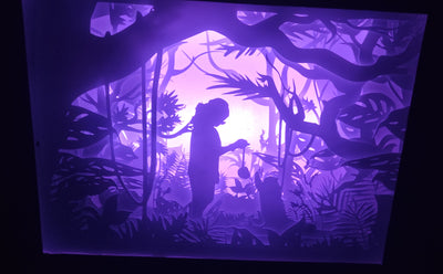 Custom Paper Cut Shadow Box – Multicolor LED Frame with Silhouette Art