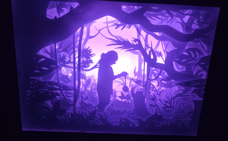 Custom Paper Cut Shadow Box – Multicolor LED Frame with Silhouette Art